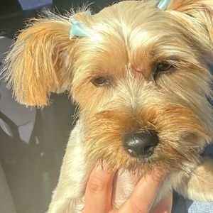 Meet your Posher, Crystal